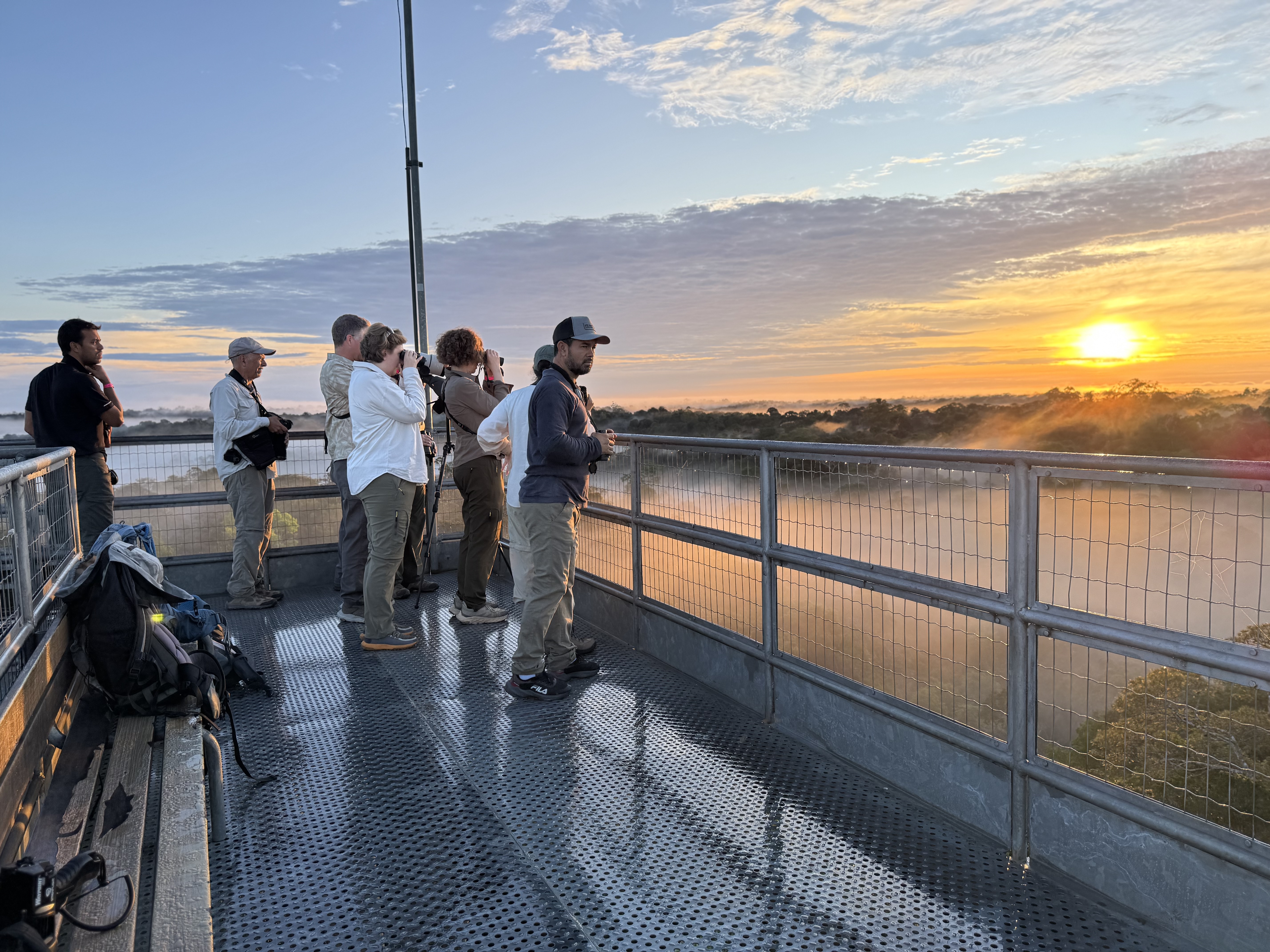 Group of guests at an observation tower at dawn