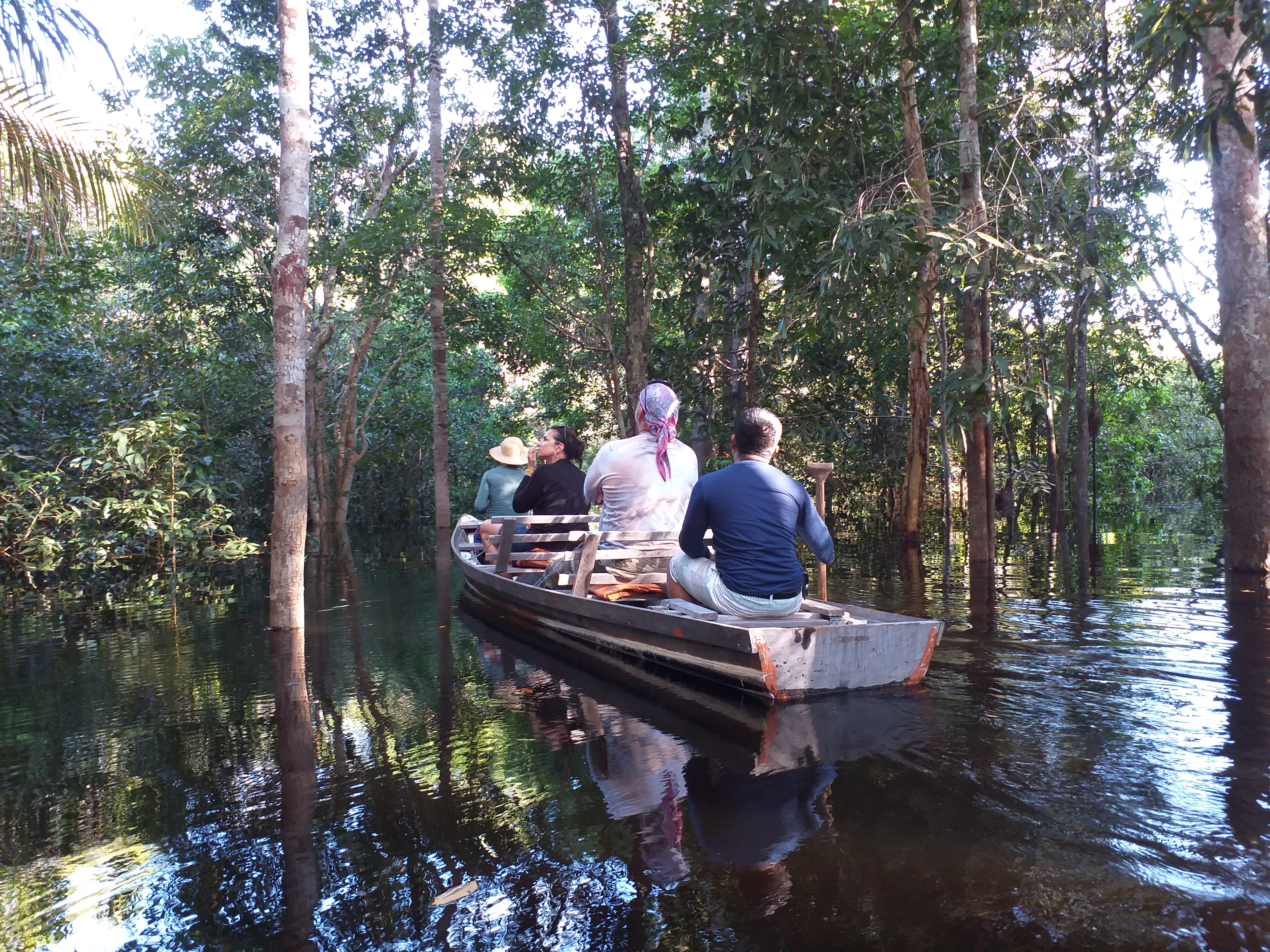 Tourists in a canoe navigating the flooded igapó forest on the Rio Negro, Amazon, Brazil