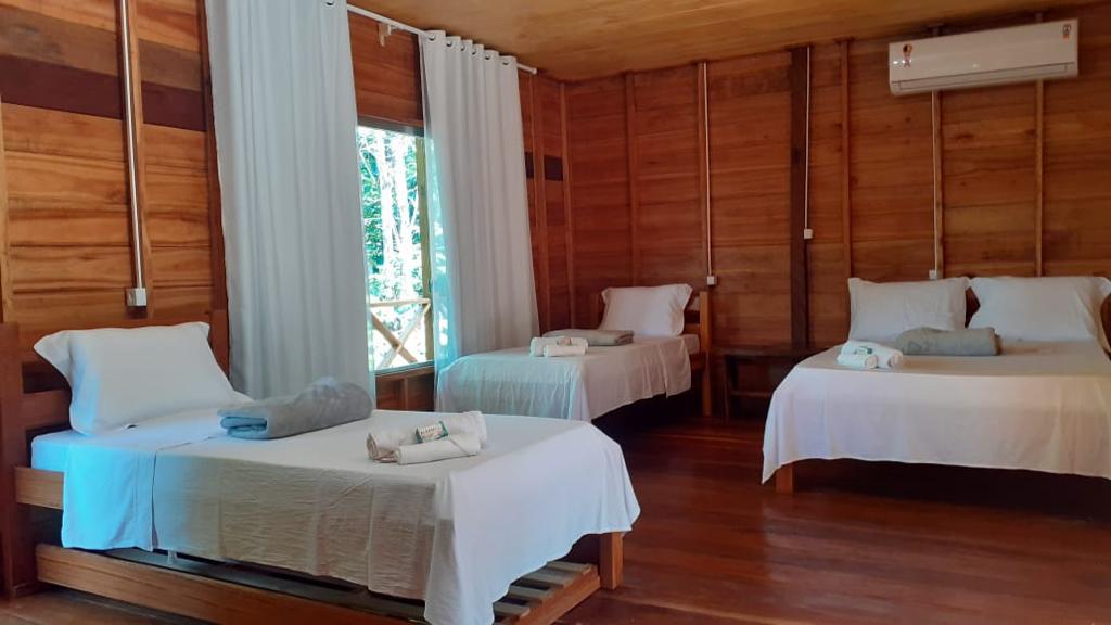 Lodge bedroom with forest views and screened windows