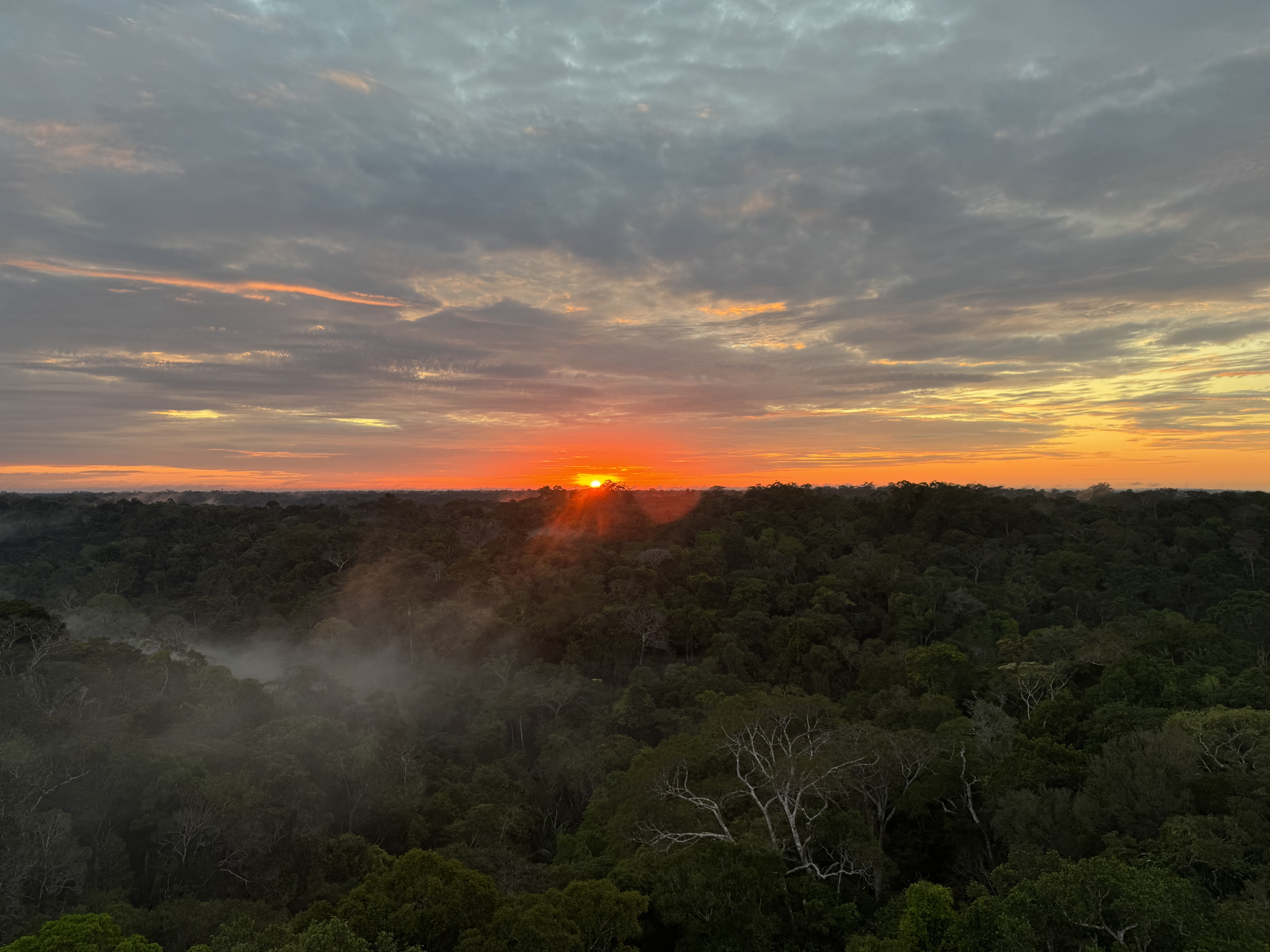 Golden sunset over the unbroken Amazon canopy