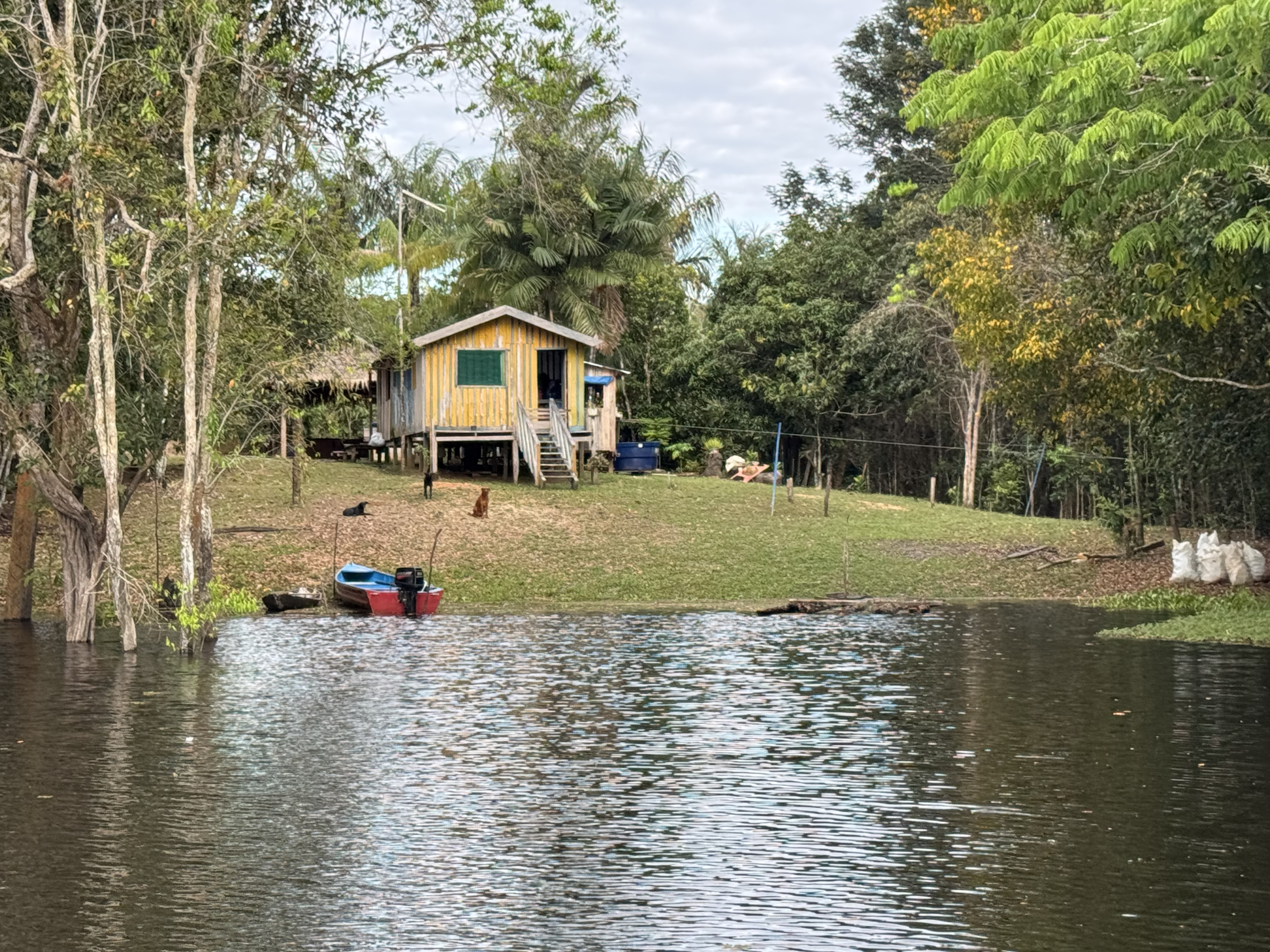 Traditional ribeirinho stilt house on the Rio Negro riverbank — visited during the Amazon Jungle Lodge expedition