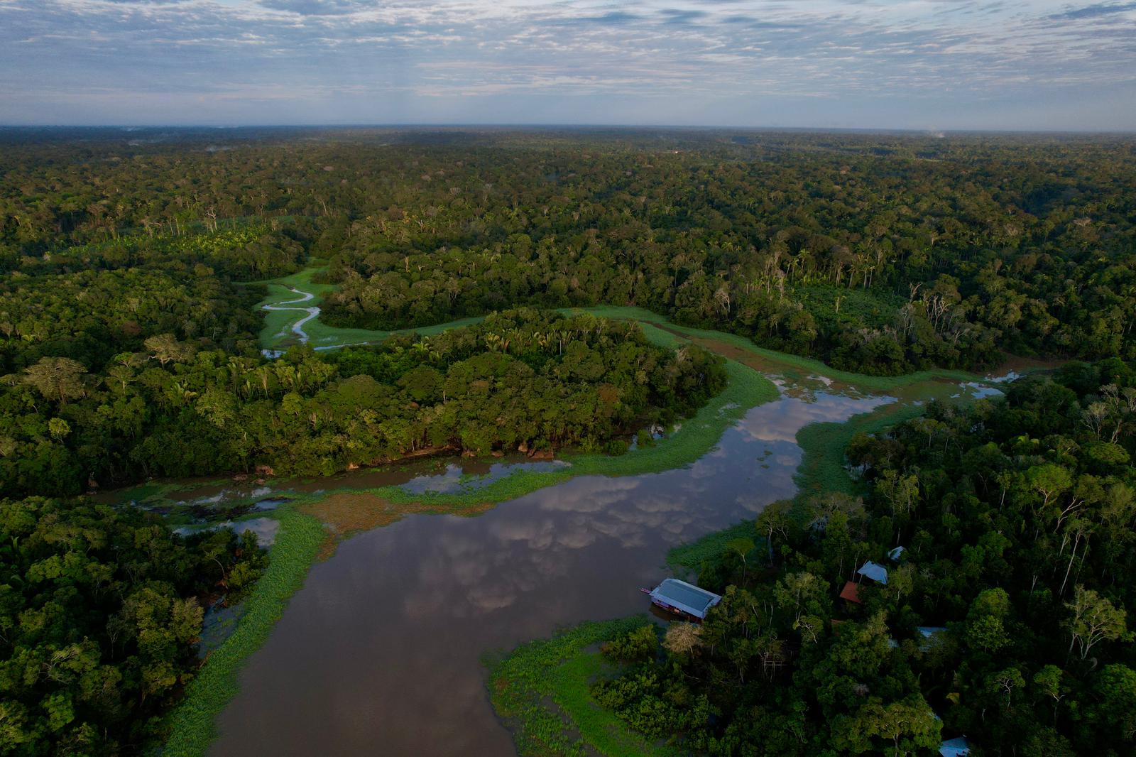 Aerial view of the Amazon eco lodge set deep in primary rainforest with the Rio Negro winding below