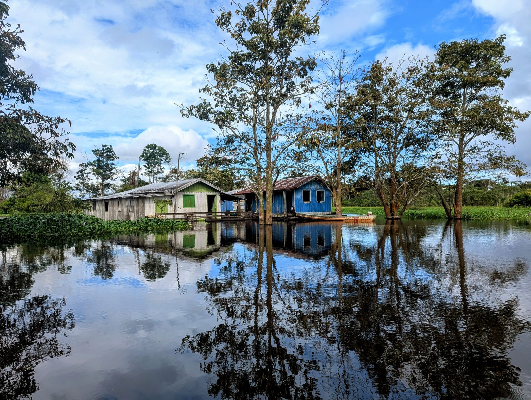 A ribeirinho community floating on the Amazon River